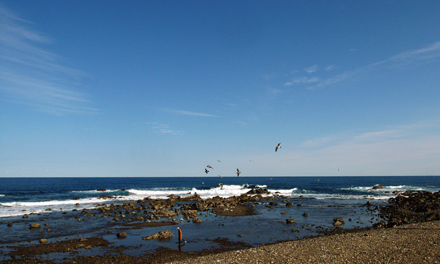 r-081295.jpg